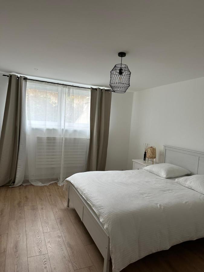 Joli Appartement Dans Une Maison Remise A Neuf Mittelhausbergen Zewnętrze zdjęcie
